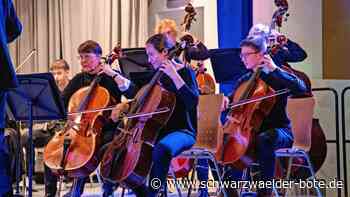 Tradition in Wildberg: Zarte Töne schweben durch die Stadthalle