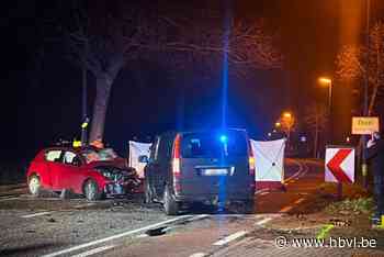 UPDATE. Lommelaar (53) overleden bij frontale klap in Balen