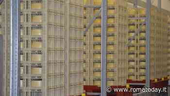 La caduta dell’impero del pecorino. Le repliche della curatela fallimentare e della società Fratelli Petrucci