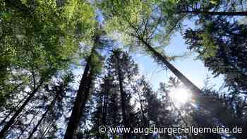 Für diese "Leader"-Projekte in der Region gibt es Geld von der EU