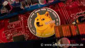 Ripple, Dogecoin, Chillguy: Wie der Kryptoboom aus pullovertragenden Hunden Milliardenwerte generiert