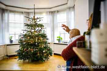 Wer hat den schönsten Weihnachtsbaum im Bünder Land?