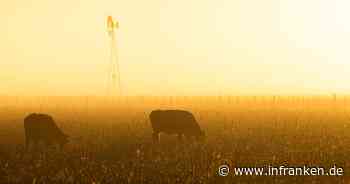 Freihandelsabkommen zwischen EU und Mercosur auf Zielgeraden