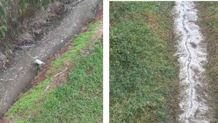 First Nation band says feds quick to respond to toxic discharge in Chilliwack waterway, but not B.C. govt.