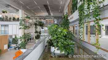 Een kantoorinterieur dat historische waarde en een duurzame toekomst verbindt