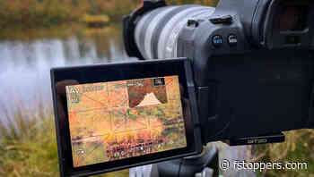 Where Is The Best Focus Point in a Landscape Photo?