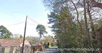 Road blocked after two-vehicle crash near St Leonards