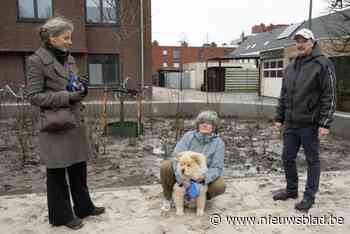 Dag van de Vrijwilliger: Vrijwilligers verzamelen op het Vrijwilligersplein bij de vrijwilligersboom