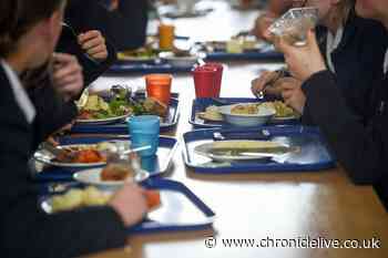 Newcastle council tax, bin collection, and school meals fees to rise under £21m cuts plan