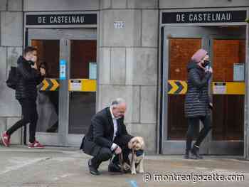 Dogs will be able to keep riding Montreal's métro, with a few catches