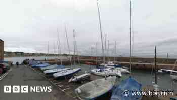 Man charged over attack on seals at harbour