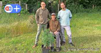 Premiere in Bad Segeberg: Cannabis-Club bekommt Anbau-Lizenz