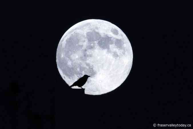 NASA’s first astronaut flight around the moon in decades faces more delays