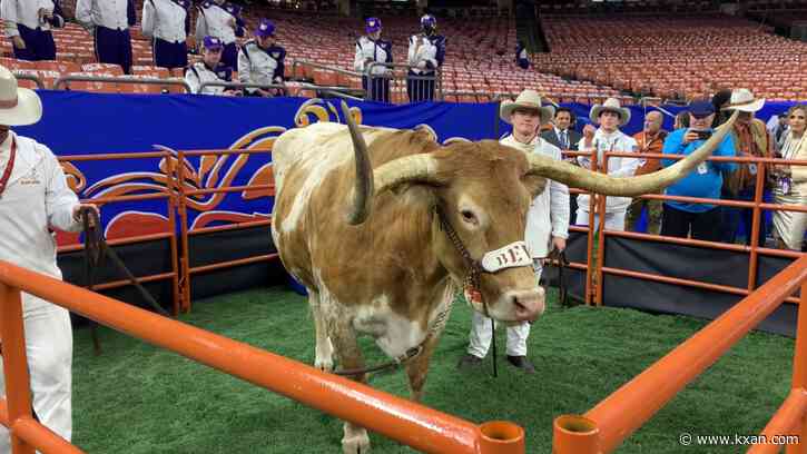 Bevo to miss Texas Longhorns' debut in SEC Championship game