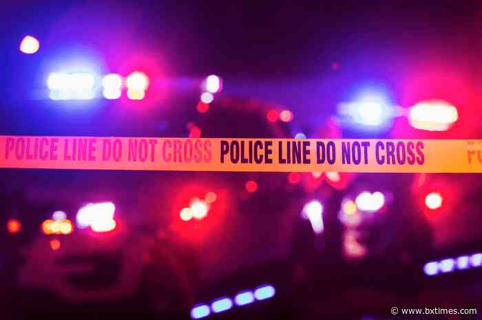 Crunching the Bronx crime numbers: rapes drastically increase throughout borough in November 2024