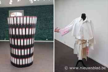 Archieftoren en zwierige kleren: Tracé Cultuurstation ingepalmd door jonge kunstenaars Idris en Jente