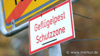 Gefährliche Vogelgrippe-Mutation aus Labor bevorzugt Menschen