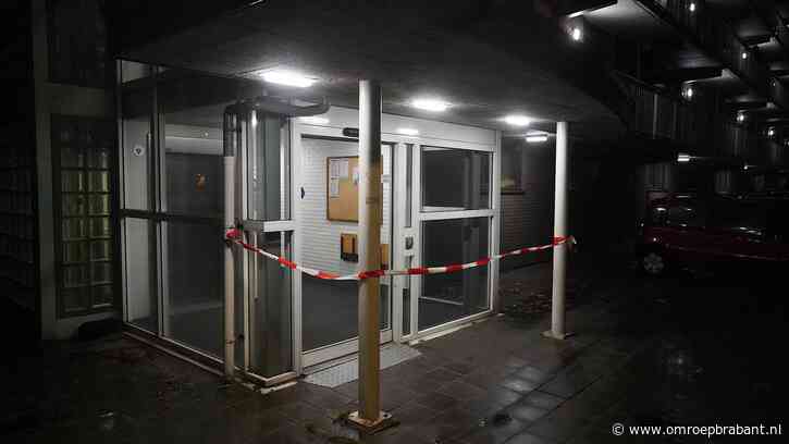 Neploodgieters overvallen woning met grof geweld, vrouw (77) gewond