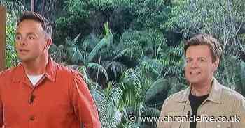 I'm A Celebrity's Ant and Dec cause 'panic' on ITV show with shock announcement