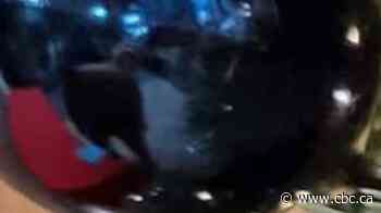 Make The Season Kind: Live special supporting Sask. food banks