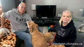 Saskatoon dog rescue operator ordered to pay $27K for defamatory Facebook posts