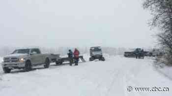 Search team deployed to seek clues about missing man after dog believed to be his was found alive