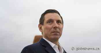 Patrick Brown says foreign interference did not affect Tory leadership race outcome