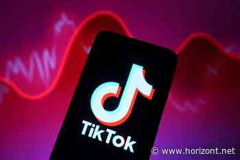 Marken, Sounds, soziale Bewegungen: Diese Top-Trends prägten das TikTok-Jahr 2024