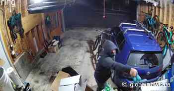 Thieves loot Surrey family’s garage while they’re out of town