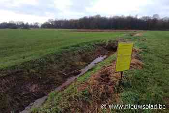 Nieuw netwerk van stuwen helpt bij het sturen van water richting Dommel