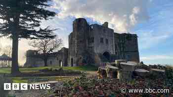 Sadness as trees felled for castle redevelopment