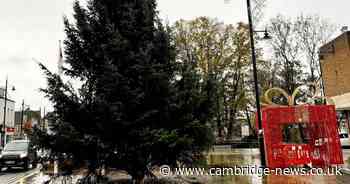 Plans for Cambridgeshire's wonky Christmas tree to be straightened up