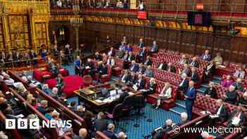 Should you be a peer? 150 words to explain why