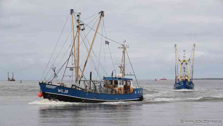Garnalenvisserij Waddenzee verboden tot eind dit jaar