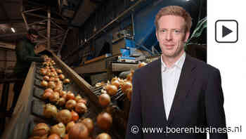 De top is er even vanaf in de uienmarkt