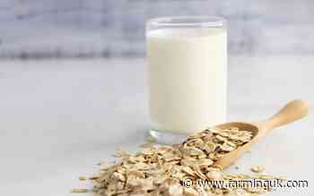 Court concludes Oatly cannot use term 'milk' in its marketing