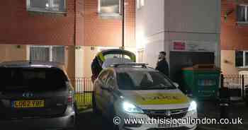 Woman charged as man dies after being mauled by 'out of control' dog in Stratford