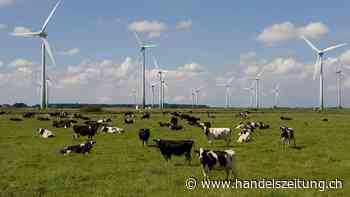 Strom aus erneuerbaren Energien in Deutschland steigt auf Rekord