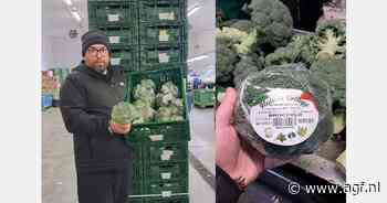 Afzet broccoli, bloemkool en Romanesco weer op goede weg