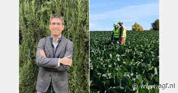 "Nat weer en de verwachte temperatuurdaling kunnen vollegrondsgroentenaanbod beperken"