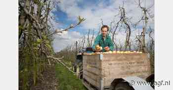 "Het wordt tijd dat we in Nederland gaan praten over een toekomstbestendige appelteelt"