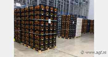 "Eerste deel Spaans citrusseizoen ondervindt impact van DANA en overzeese aanbod"