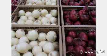 "We zullen dit seizoen eerder moeten overschakelen naar Nederlandse importuien"