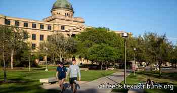 Texas lawmakers are scrutinizing university professors’ influence. Here's how faculty shape their universities.