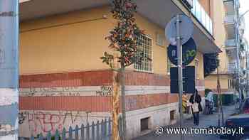 Balduina, iniziati i lavori di messa a dimora di oltre 100 nuove alberi