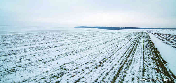 Canadese graantelers speelbal van VS en China