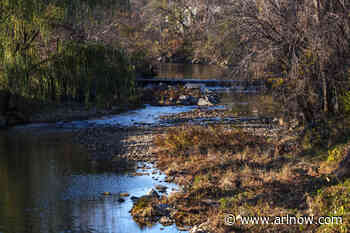 Morning Notes for December 6, 2024