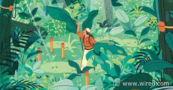 Environmental Sensing Is Here, Tracking Everything from Forest Fires to Threatened Species