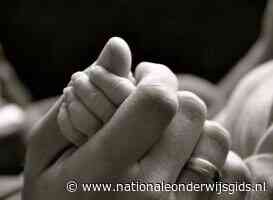 Toeslagenouders uit Pesse krijgen na jaren procederen hun kinderen terug