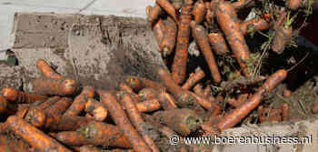 Genoeg aanbod peen, maar vraag (nog) niet zo groot